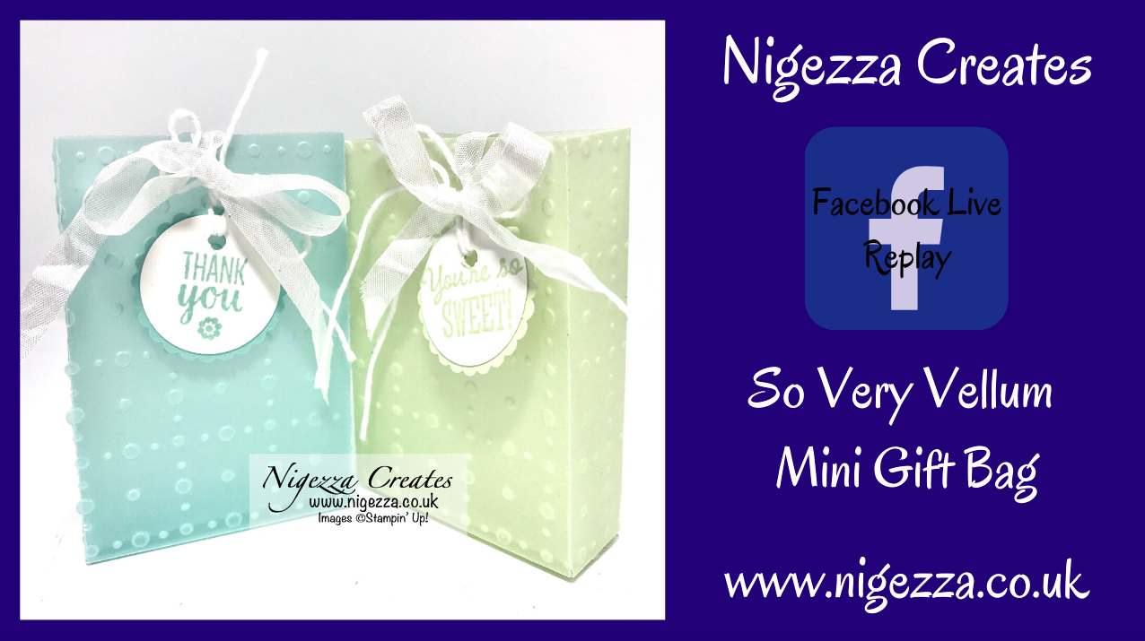 Nigezza Creates Facebook Live Replay So Very Vellum Gift Bag