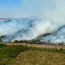 Incêndio no noroeste do Paraná já atingiu 370 hectares de mata