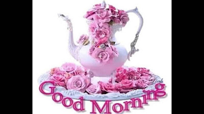 good morning good morning