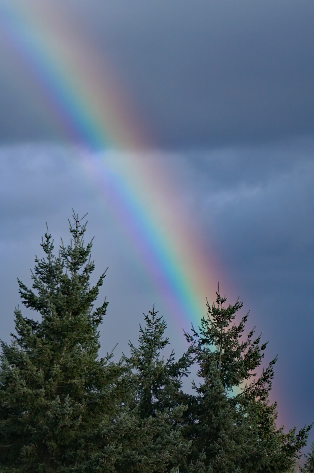 Shoreline Area News Photo Rainbow Sky