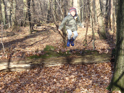 Puszcza Niepołomicka, jesienny spacer, zabawy w lesie