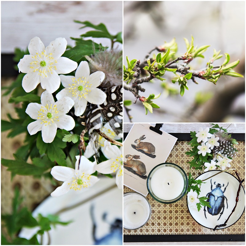 Neue Beziehung Ab Wann Uber Die Zukunft Sprechen