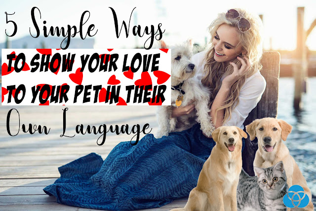 alt="animal language,dogs,cats,birds,animal love,animal lovers,talk to animal"