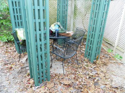 Cabbagetown Fall Cleanup Backyard Before by Paul Jung Gardening Services Inc.--a Toronto Organic Gardening Company Cabbagetown Fall Cleanup Backyard Before by Paul Jung Gardening Services Inc.--a Toronto Organic Gardening Company