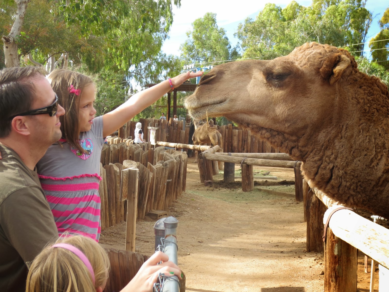 Team Kingman Part 2 Phoenix Zoo
