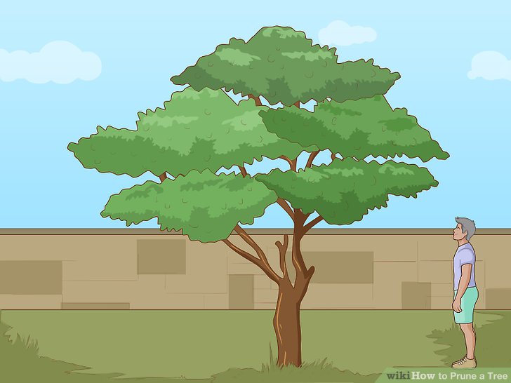 Sejarah Sebagai Peristiwa,Kisah,Ilmu,dan Seni