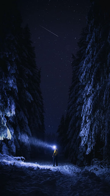 HD Wallpaper Winter, Lonely Man, Flashlight, Night, Forest, Snow HD Wallpaper Winter, Lonely Man, Flashlight, Night, Forest, Snow