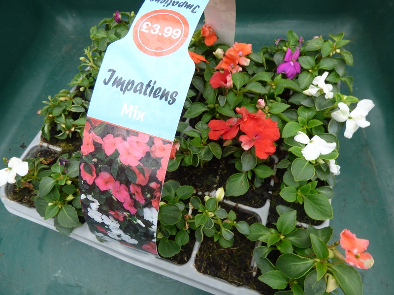 Through The Keyhole Planting Up The Hanging Baskets