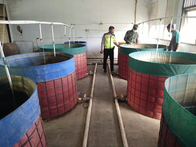 Koramil Cawas Dukung BUMdes Kembangkan Ternak Lele