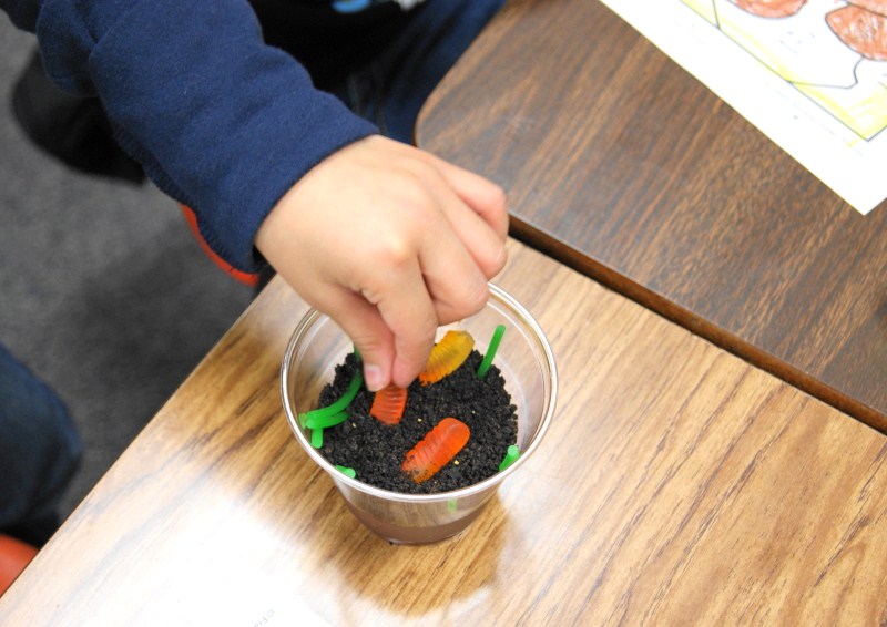 Soil Property Pudding Cups {a.k.a. Dirt Pudding Cups}