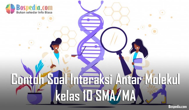 Lengkap Contoh Soal Interaksi Antar Molekul kelas 10 SMA