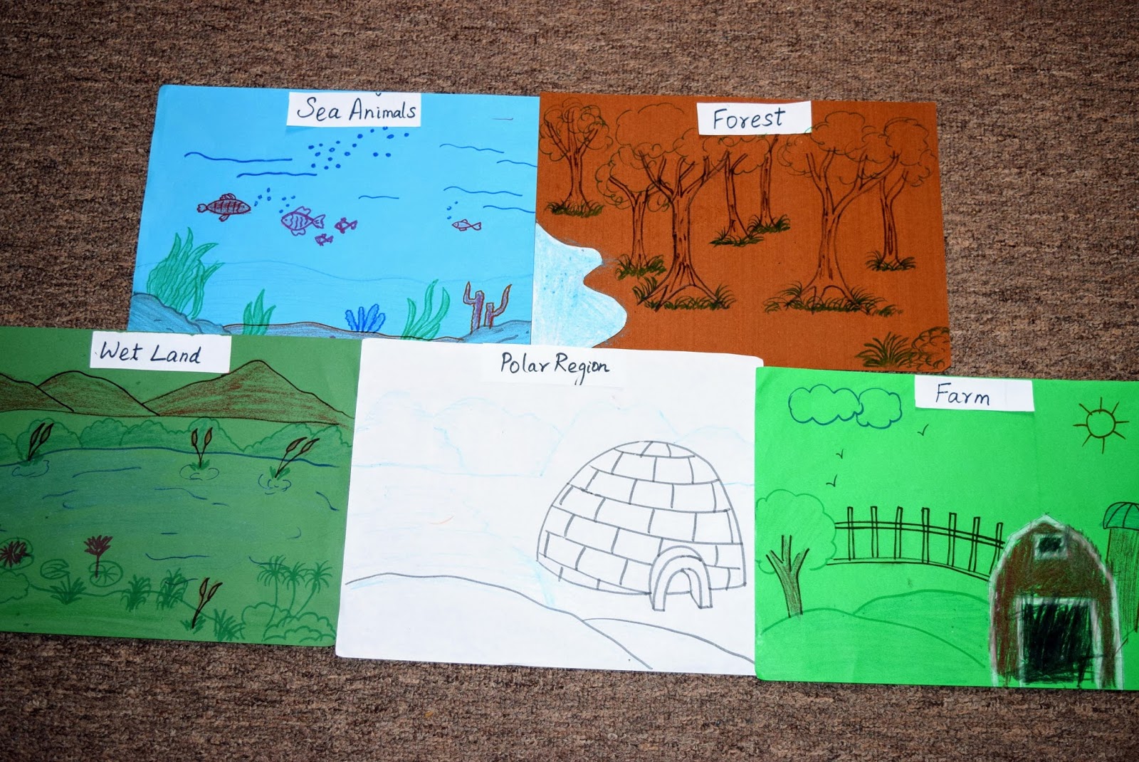 Sindhu's cocoon: Animals and Habitats - Sorting activity for Pre-Schoolers