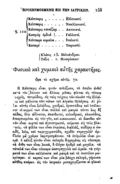 Κάππαρη η καλοκαιρινή υπέρτροφή-φάρμακο