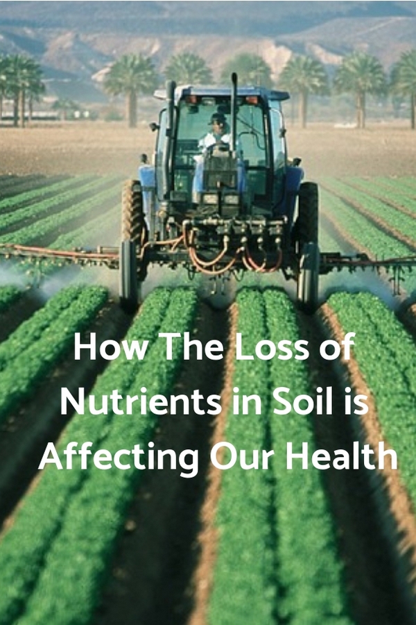 Healthy Food & Life Why Our Soil and Food Are Losing Nutrients