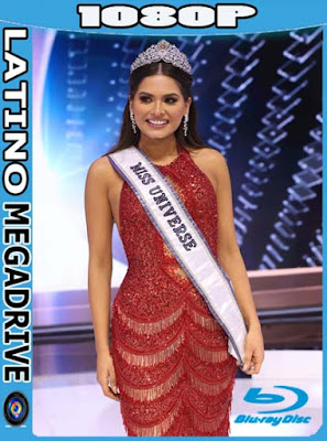 Miss Universo (2021) HD [1080p] Latino [GoogleDrive] PGD