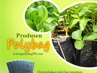 Jual Polybag Berbagai Ukuran