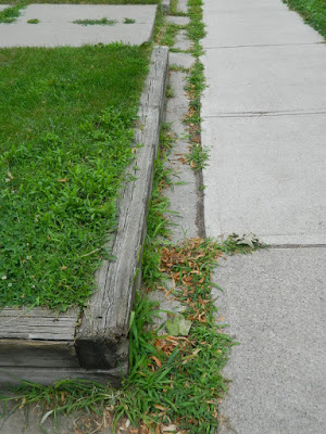 Upper Beaches Toronto front yard cleanup before by Paul Jung Gardening Services Upper Beaches Toronto front yard cleanup before by Paul Jung Gardening Services