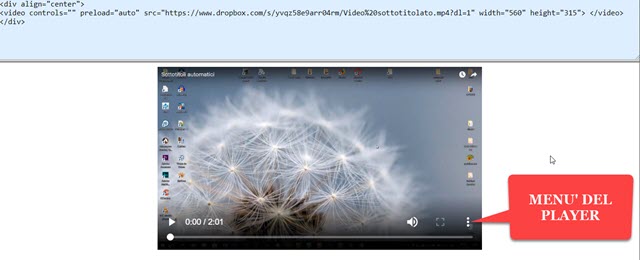 player-video-html5 player-video-html5