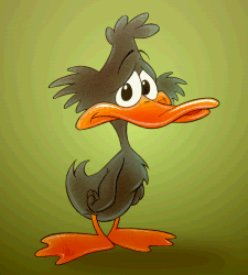 patito negro