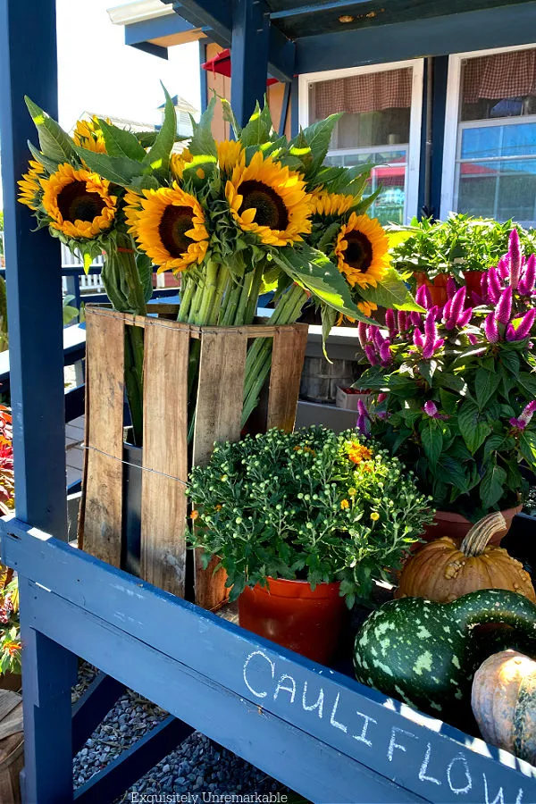 Farm Stand Sunflowers and pumpkins on a cart