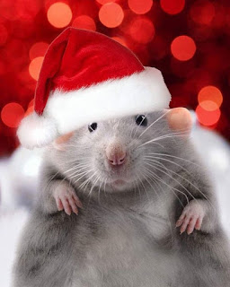 Lovely happy new year card mice and rats 2026. Free, beautiful live Christmas cards in the year of mouse
