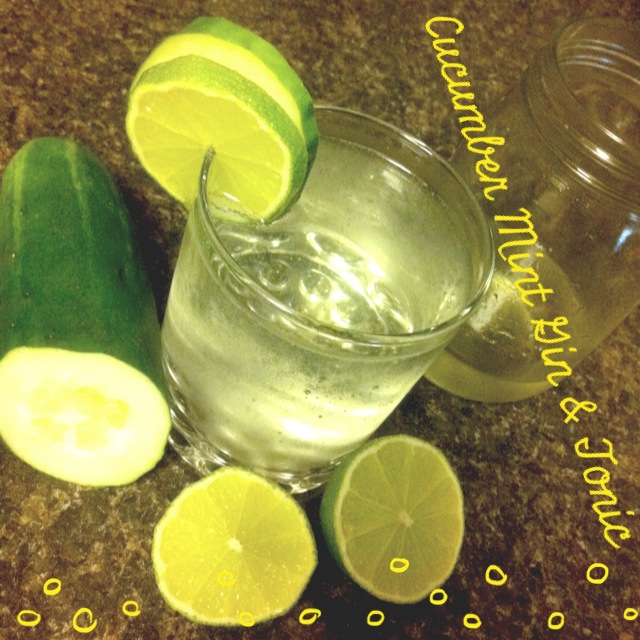 Nalls&amp;#39; Kitchen: Cucumber Mint Gin &amp; Tonic