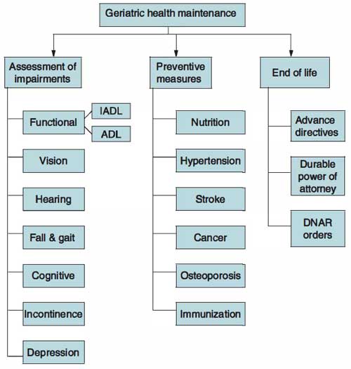 geriatric health maintenance