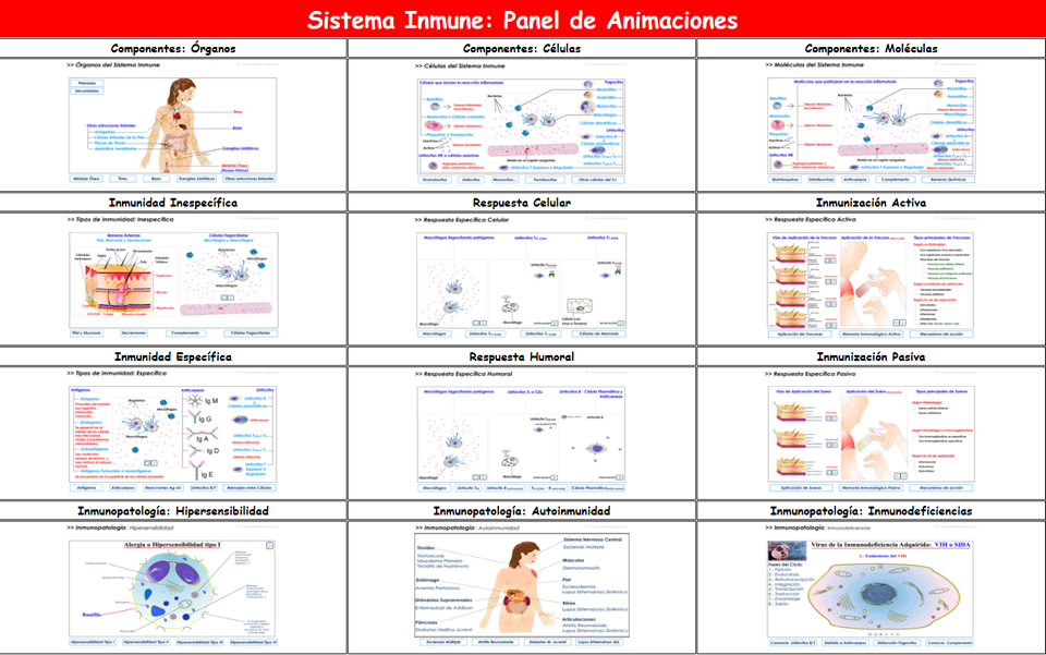 SISTEMA INMUNE