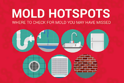 kh-7-places-mold-could-be-lurking-in-your-facility-infographic_feat Mold Inspection