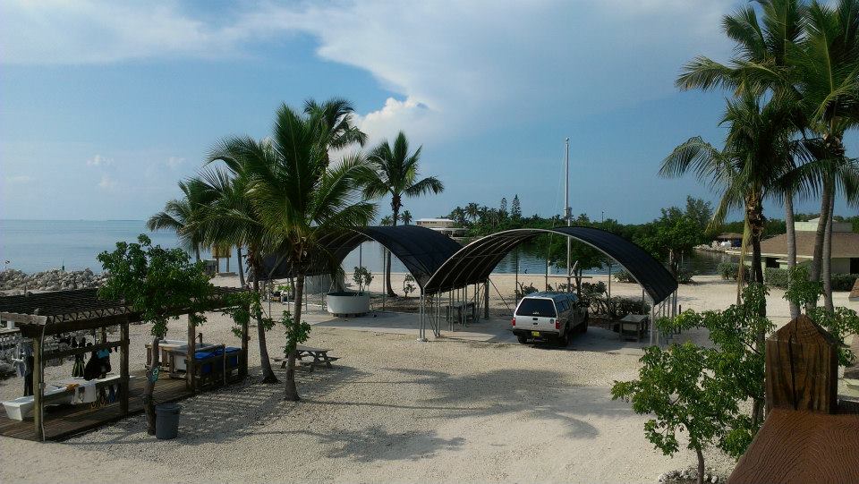 FIO Field Studies in Marine Science 2013 Keys Marine Lab Week!