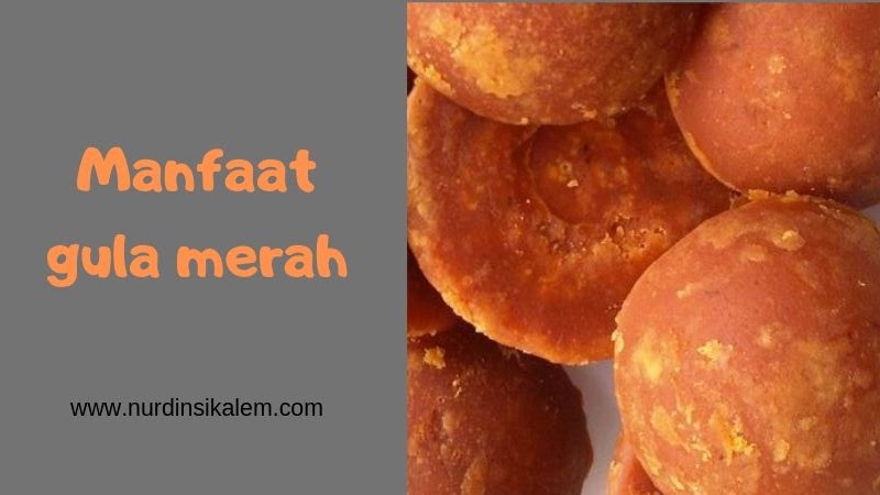 8 Manfaat Gula Merah Bagi Kesehatan Yang Belum Banyak Diketahui Blog Nurdin Sikalem