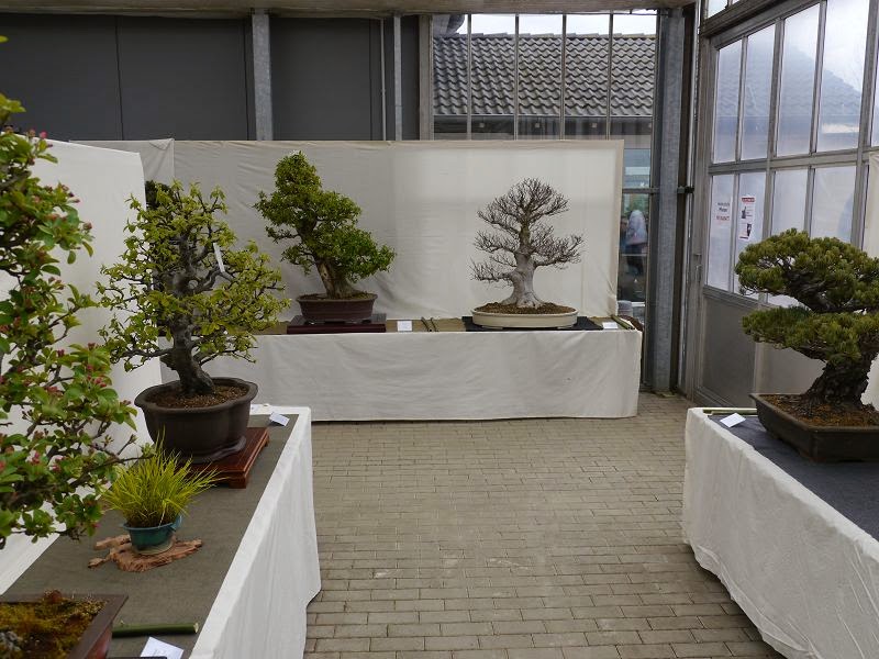 BonsaiFotoAusstellung: HAI-YAMA-TEN 2014