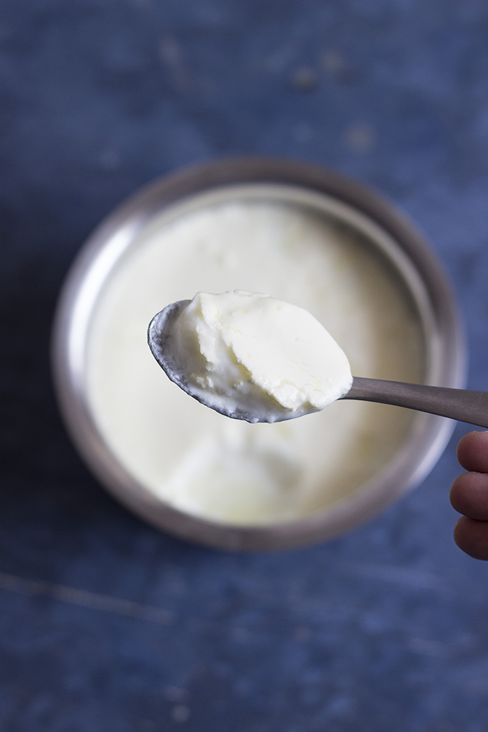 Creamy thick homemade yoghurt or dahi