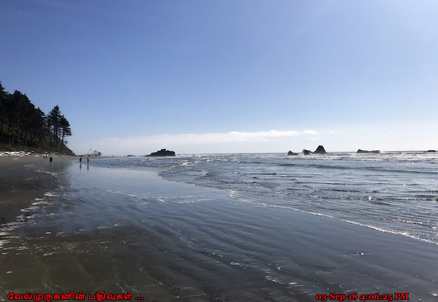 Ruby Beach Olympic National Park