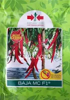 racun hama cabe, insektisida kontak, buldok 25 EC, bayer, pestisida, toko pertanian, toko online, lmga agro