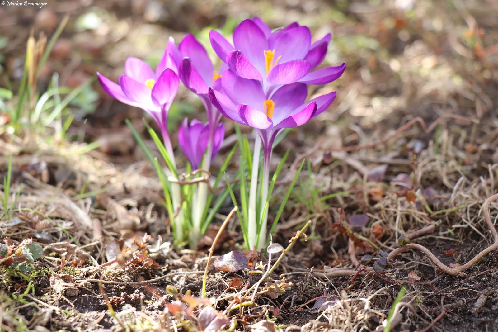 La Nachrichten Aktuelle Aus Landshut Und Umgebung