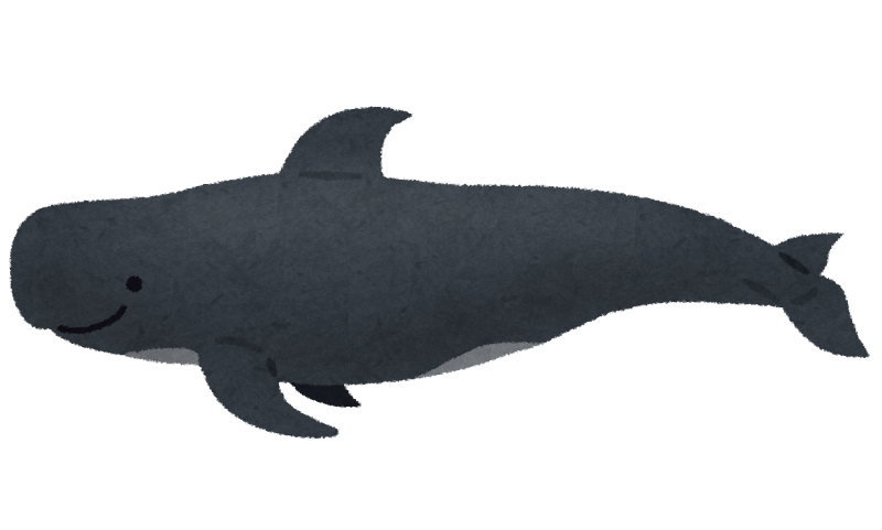 コビレゴンドウのイラスト 鯨 かわいいフリー素材集 いらすとや