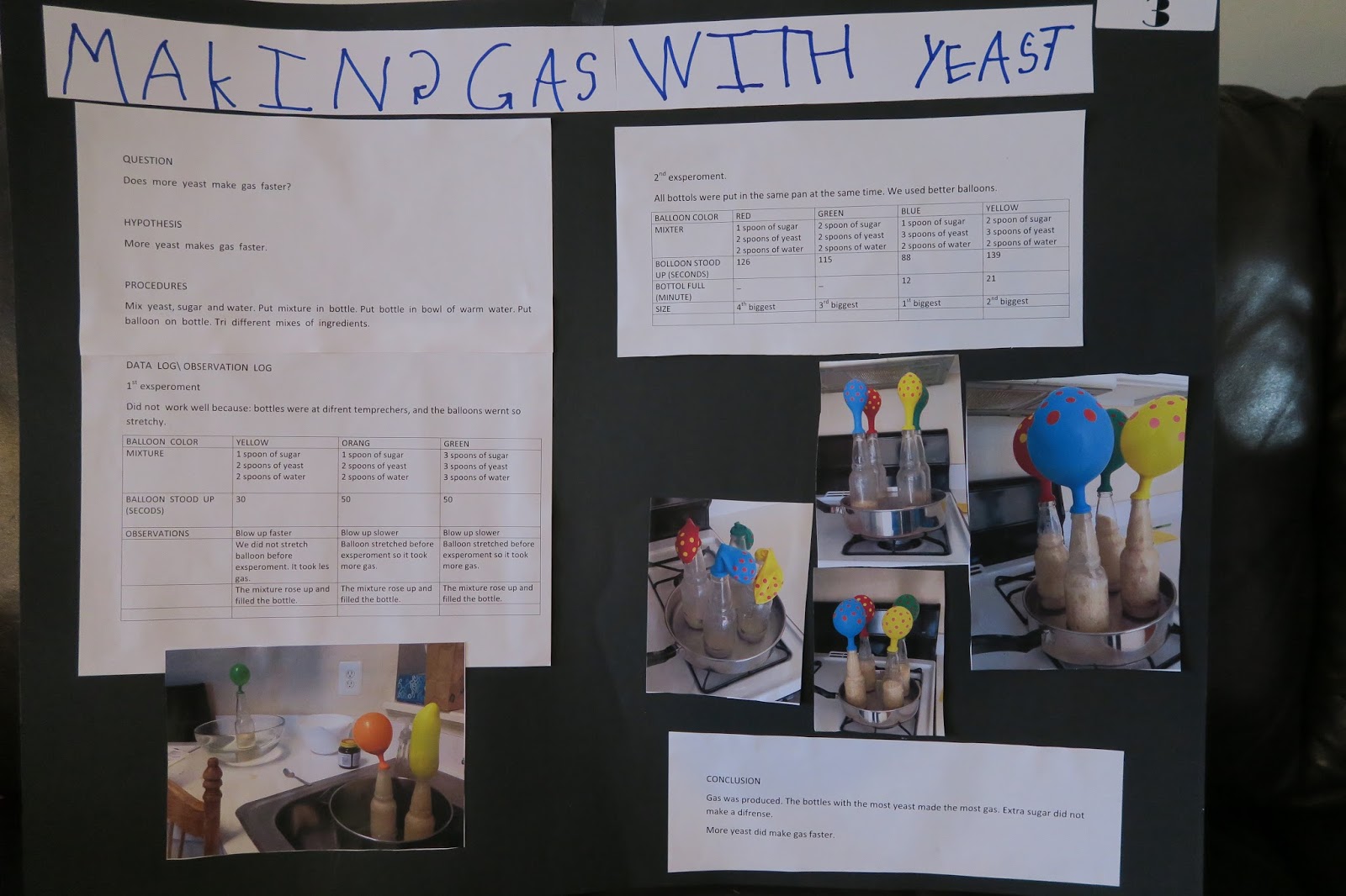 moopossum in Maryland: Science Projects (and 6 year olds)