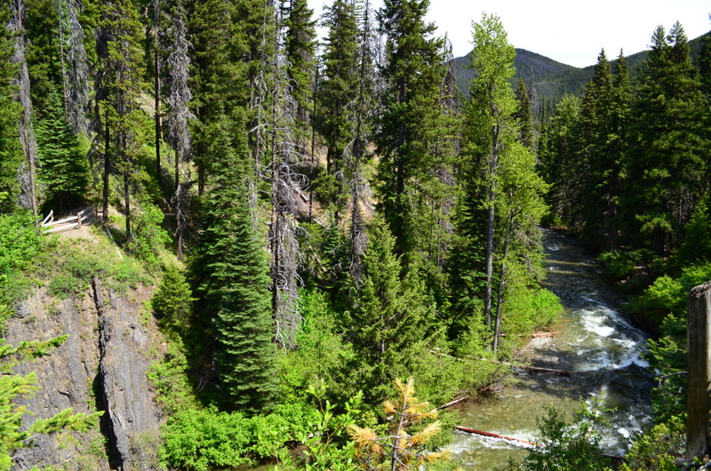 Living the Dream...: Saturday, June 21, 2014 (Coldspring Campground, E ...