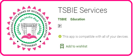 5+ Ts Bie Services