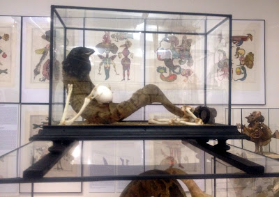 Historia Naturae, Suite room in the Jan Švankmajer exhibition