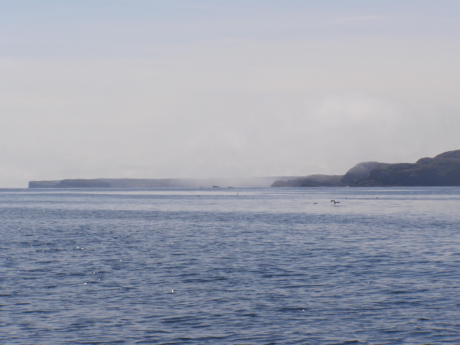 Northern Exposure 2012 Bonavista Bay To Trinity Bay, Newfoundland