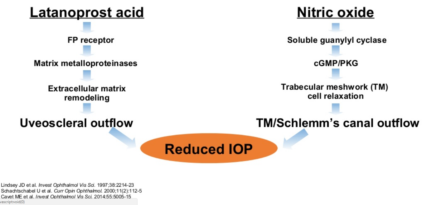 Meet Vyzulta, The Revolutionary New Therapy Eyedolatry