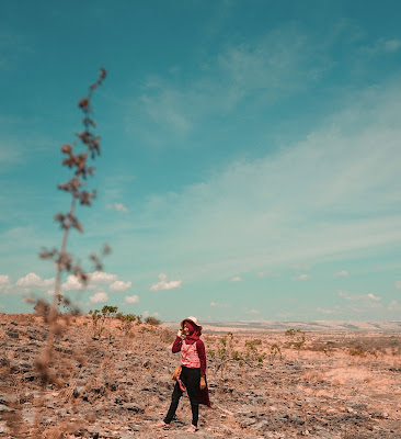 savana sumba timur