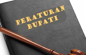 Peraturan Bupati Bojonegoro Nomor 29 Tahun 2016