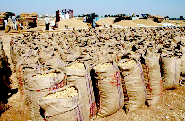 singtel or groundnut oil decline agriculture in gujarat peanut market news crushing peanut crop market price down