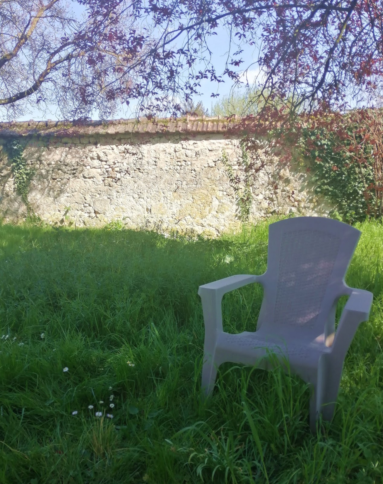 Journal de confinement: Continuité des parcs