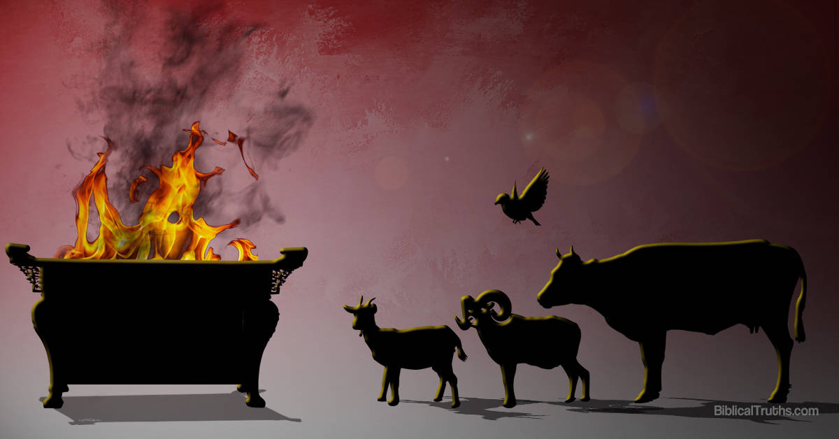 Fr. John Whiteford What does St. Paul mean by "the works of the Law"