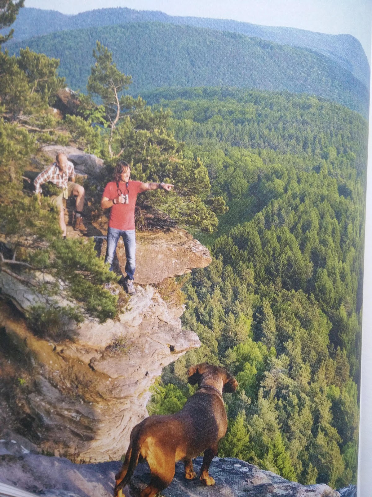 Geschenkset 287 29 Jpg 500 667 Pixel Geschenke Geschenke Zum