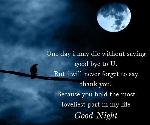 most romantic love good night quotes and wishes-Inspiring and Romantic Good Night Quotes and Wishes